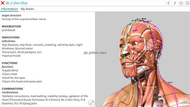 【图】Visual Acupuncture 3D – Human(截图1)