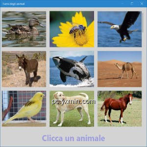 Che versi fanno gli animali?