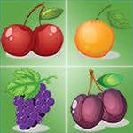 Fruit and Match Fruit and Match