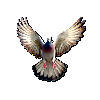 PigeonAi_V1