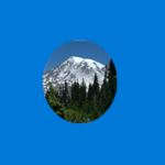 World View