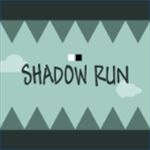 Shadow Run