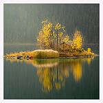 Nature Simulations