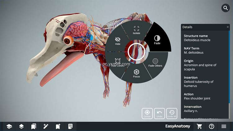【图】EasyAnatomy – 3D Canine Anatomy(截图1)