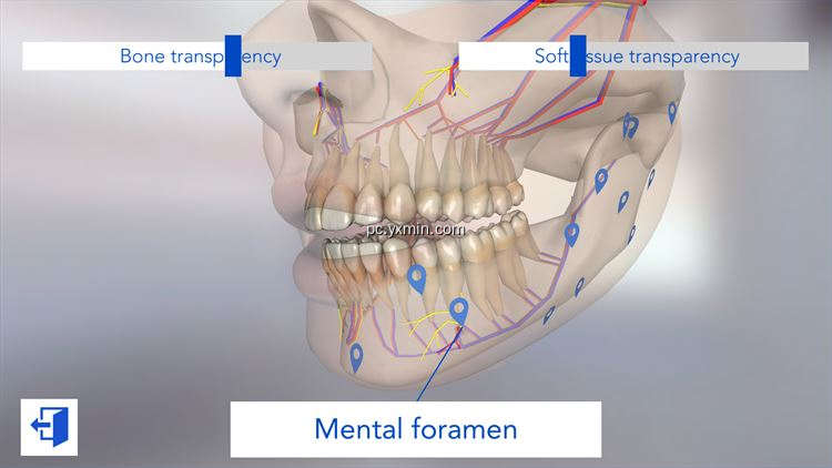 【图】Dental Simulator(截图2)