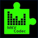 MKV Video Extensions