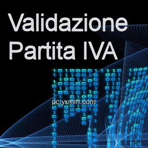 Validazione Partita IVA