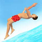 Flip Diving Master Flip Diving Master