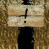 Corn Maze