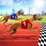 Greyhound Racing Dog Run Greyhound Racing Dog Run