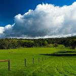 Australian Landscapes by Ian Johnson Australian Landscapes by Ian Johnson
