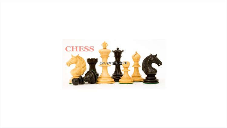 【图】Chess info(截图1)