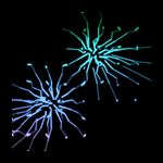Arachne Digital Spiders Arachne Digital Spiders