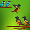 Bird Sort Color Puzzle Game