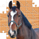 Puzzle Horses