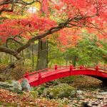 Bridges in Autumn Bridges in Autumn
