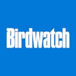 Birdwatch
