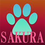 Time Space Visualizer SAKURA