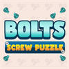Bolts Screw Puzzle
