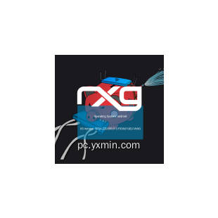 RG Nets rXg Posture Agent