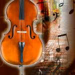 Double Bass Tuner