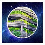 Small Business Developments