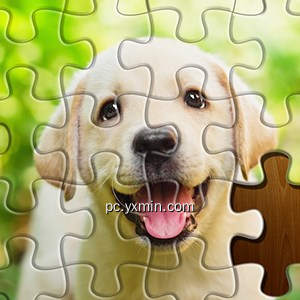 Jigsaw Puzzles Collection