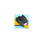 Super Cat Fly