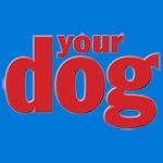 Your Dog