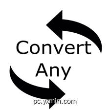 Convert Any