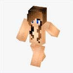 MC Skin Pack Creator