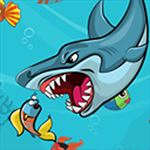 Fat Shark Fight