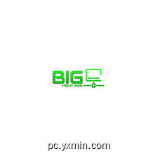 Big Help Desk Remote support