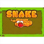 Snake Future Snake Future