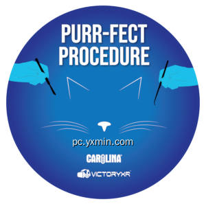 VR Cat Dissection: Purr-fect Procedure