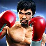 Real Boxing King