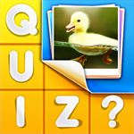 Picture Quiz Free! Picture Quiz Free!