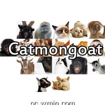 Catmongoat