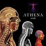 Virtual Cadaver Anatomy Lab – Athena Hub Virtual Cadaver Anatomy Lab – Athena Hub