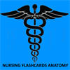 Nursing Flashcards Anatomy Nursing Flashcards Anatomy