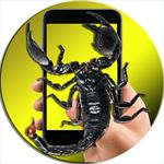 Scorpion On Hand Screen Photo