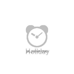Alarm with Holiday