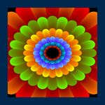 Sensory Coloco Sensory Coloco