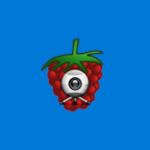 RPi Camera Viewer