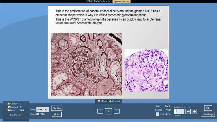 【图】USMLE Step 1 Pathology Flashcards(截图1)