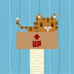 Pixel Cat Jump Pixel Cat Jump