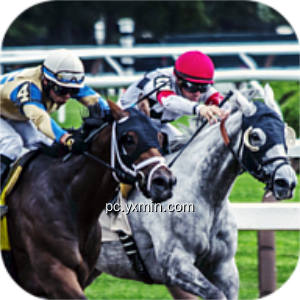 Flat Race Horse Racing
