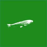 锦鲤池(pond koi)