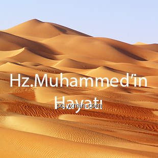 Hz Muhammedin Hayatı