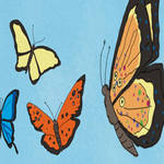 The Life of Billy The Butterfly
